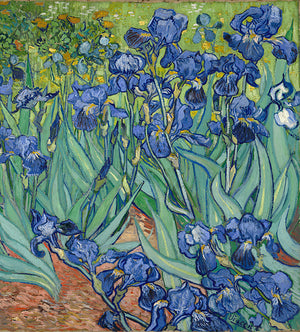 Irises, by Vincent van Gogh - Easy Home Renewals